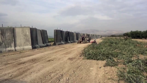 Olivos de Afrin, situados junto al muro de hormigón levantado por los turcos en los límites fronterizos con la zona kurdosiria de Rojava.