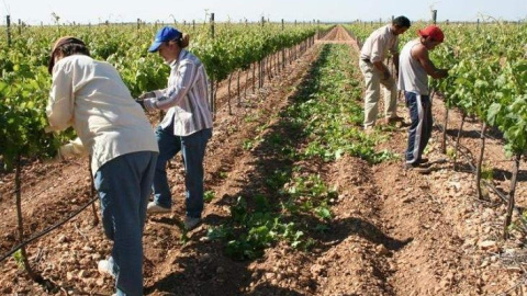 Trabajadores del campo. E.P.