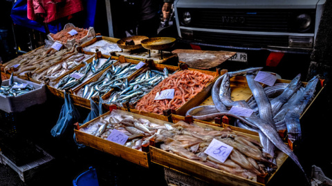 Este estudio contempla también las diferencias entre los distintos tipos de pescados y mariscos. / Francesco Ungaro, Unsplash