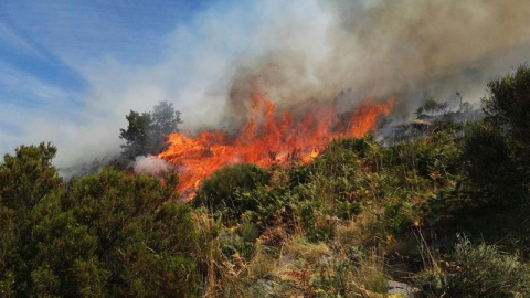 Fotografía facilitada por la Asociación Natura 2000, que considera que la existencia de varios focos en el incendio de la Garganta de los Infiernos del Valle del Jerte (Cáceres), que ha arrasado el collado de las Yeguas y la umbría de la Re