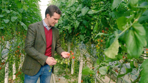 Pablo Casado, de campaña en Andalucía antes de las elecciones del 2D.