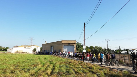 Caminata por la huerta de Alboraia realizada durante estos últimos días./ Per L'Horta