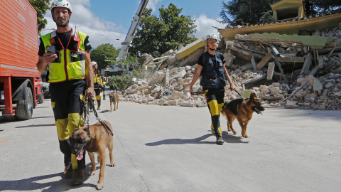 Los equipos de rescate pasean con sus perros tras el terremoto de Italia. REUTERS/Ciro De Luca