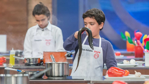 Un concursante tuvo que matar una anguila en la última edición del programa./ RTVE