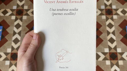 Foto del llibre 'Una tendresa oculta (poemes escollits)'