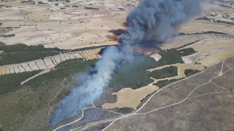 El último incendio declarado en el campo de maniobras de San Gregorio arrasó hace unos días 70 hectáreas de monte forestal y once de campos de cultivo, además de 45 dentro del complejo militar./Aragon.net