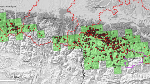 Distribució per quadrícules UTM 10 x10 km de l’os bru als Pirineus, en 2023