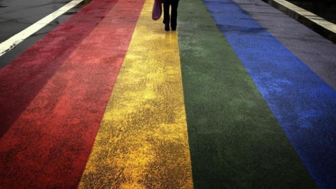 Un peatón pasa por una calzada pintada con los colores de la bandera gay arcoiris en la calle Oxford, de Sydney. REUTERS/David Gray