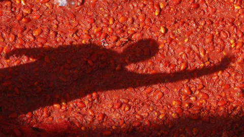 Buñol cumple con la tradición de más de siete décadas y celebra su internacional guerra del tomate, en la que miles de personas llegadas de todo el mundo se lanzan 160 toneladas de esta hortaliza para teñir de rojo el municipio y, en la edi