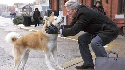 Richard Gere, en la película 'Siempre a tu lado, Hachikō', basada en la vida del perro japonés.