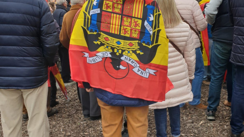 Un manifestante porta una bandera franquista