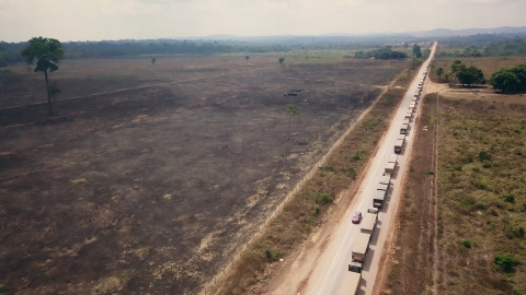 La larga hilera de camiones entrando en la zona de Pará (Brasil), camino del Puerto de Itaituba. / Igualdad Animal