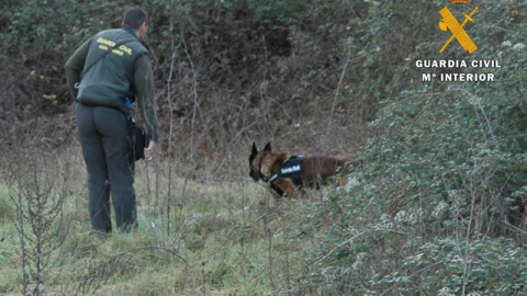 Agente de la Guardia Civil junto a un perro rastreando la zona . GUARDIA CIVIL