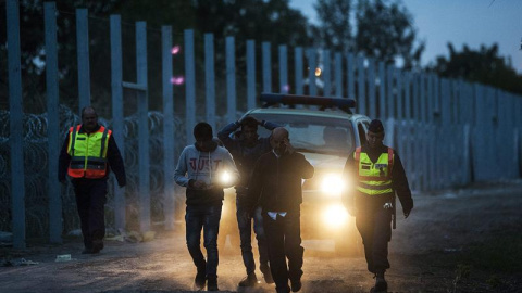 Policías húngaros detienen a varios personas junto a la valla anti inmigrantes levantada en la frontera con Serbia. - EFE