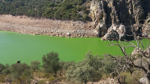 Agua verde en Tajo./Santiago M.Barajas