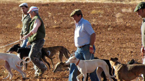 Un grupo de galgueros durante una jornada de caza en Ciudad Real / EFE