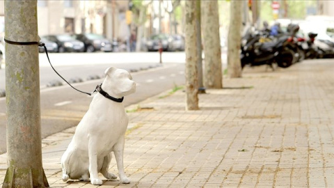 Una de las estatuas que ha distribuido el consistorio.- AJUNTAMENT DE BARCELONA