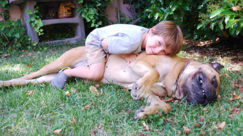 Los niños no entienden que el animal no siempre quiere que le acaricien o le sigan a todas partes. SINC