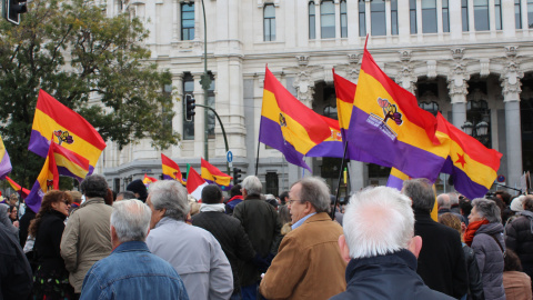 Varios manifestantes con banderas republicanas. / D. Narváez