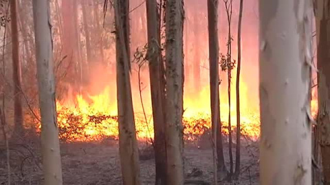 AÃºn quedan 23 incendios por extinguir en Asturias