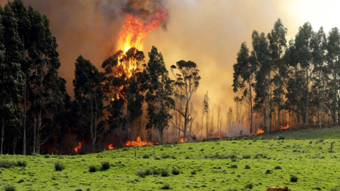 Vista del incendio en las proximidades de Naves (Llanes). / EFE