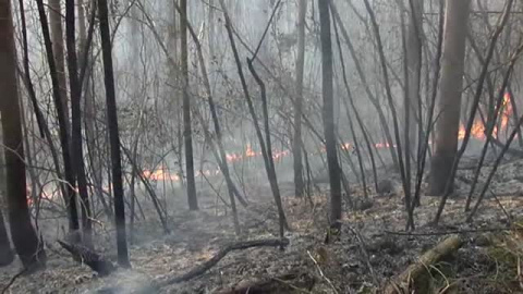 Investigan a cuatro personas como responsables de los incendios en Cantabria