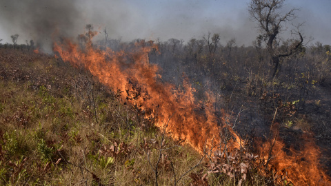 Bolivia fue el país con una mayor extensión de terreno afectada por los incendios este verano. / AFP