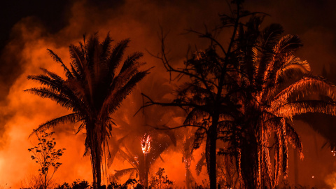 Los incendios en bosques vírgenes producen mayores cantidades de emisiones de efecto invernadero. / AFP