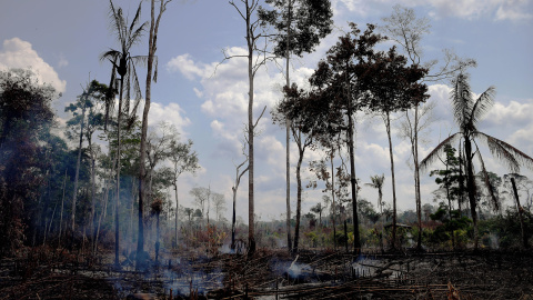 Así quedó la zona de Porto Velho en el estado de Rondonia tras los incendios de agosto. / AFP