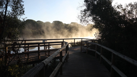 La Junta de AndalucÃ­a conmemora el 50 aniversario de DoÃ±ana