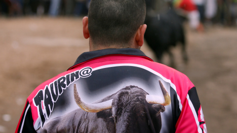 Uno de los asistentes al Toro de la Peña en Tordesillas este martes.- REUTERS