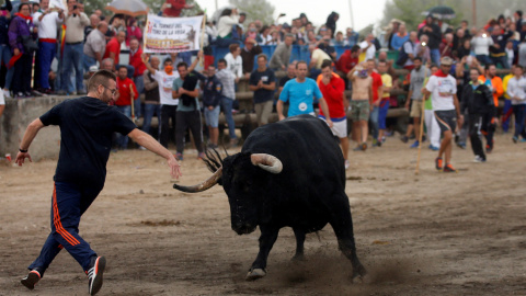 Un hombre corre frente al toro durante el acto del Toro de la Peña.- REUTERS