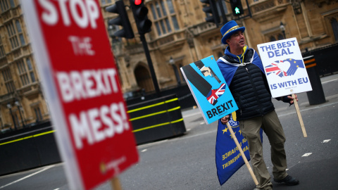 Un manifestante anti-brexit frente al Parlamento británico. | Rbuters