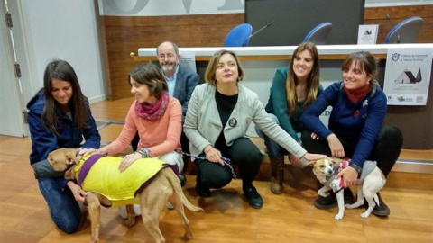 El Ayuntamiento impulsa un programa de voluntariado en el albergue de animales. / EUROPA PRESS