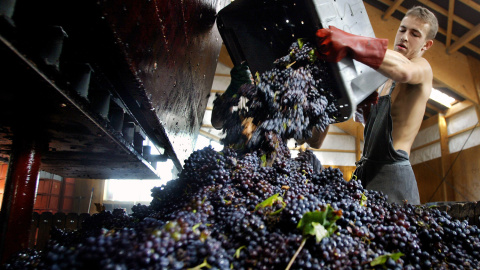 Jean-Pierre Fleury cultiva su propio vino en Courteron, Francia. ALAIN JULIEN  (AFP)