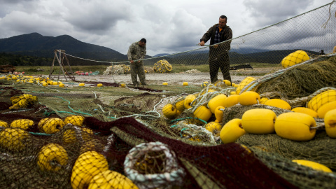 Pescadores recogen sus redes en Japón. REUTERS