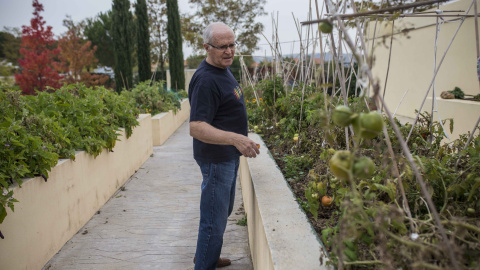 Pepe Redondo, de 75 años, pasea por la huerta de Trabensol para vigilar los cultivos.- JAIRO VARGAS