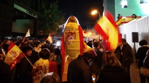 Simpatizantes de Vox celebran en la sede del partido de Santiago Abascal los resultados de las elecciones generales del 10-N. / HENRIQUE MARIÑO