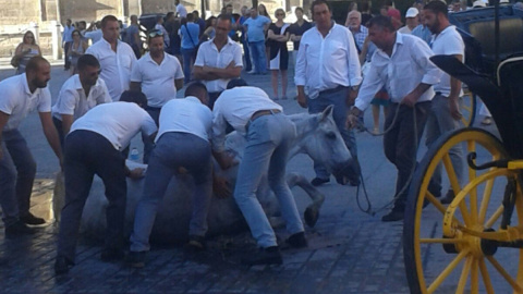 Caída de un caballo en el centro de Sevilla.