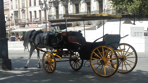 Caballos exhaustos en el centro de la ciudad de Sevilla.