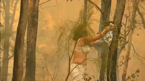 Emotivo rescate de un koala de entre las llamas de un incendio forestal en SÃ­dney