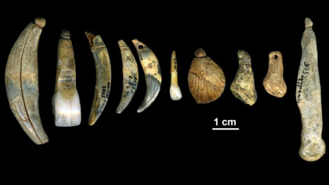 Algunos de los ornamentos corporales hechos con dientes, marfil y conchas descubiertos en la cueva de Renne, en Francia. MARIAN VANHAEREN