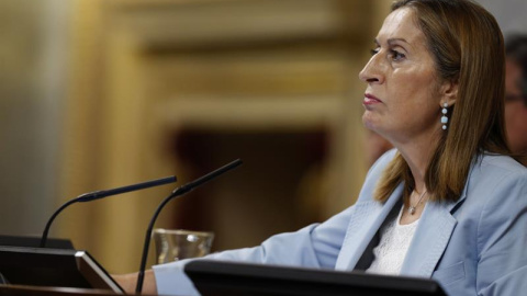 La presidenta del Congreso, Ana Pastor, durante el pleno celebrado esta tarde en la Cámara Baja. EFE/Kiko Huesca