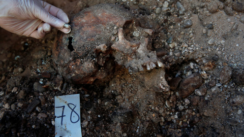 Un arqueólogo muestra la bala que atravesó el cráneo de un republicano fusilado por los franquistas  durante la Guerra Civil en un cementerio de Valladolid.- REUTERS / JUAN MEDINA