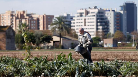 Agricultor en la huerta de la periferia de Valencia. / EFE