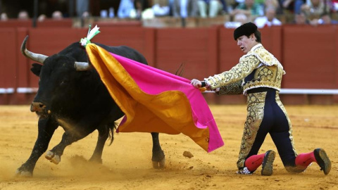 El diestro Esaú Fernández ve como su primer toro, de la ganadería de Las Ramblas, le arrebata el capote enganchado en el pitón. EFE