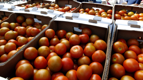 Fotografía de archivo de un puesto de tomates. EFE