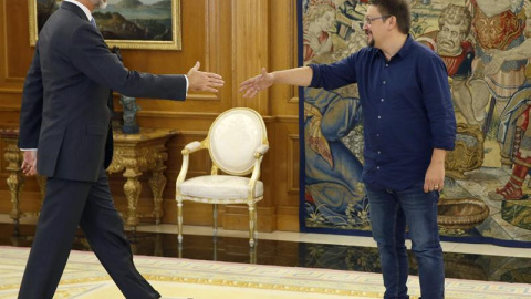 El rey Felipe recibe al portavoz de En Común Podem, Xavier Domènech (d), hoy en el Palacio de la Zarzuela. /EFE