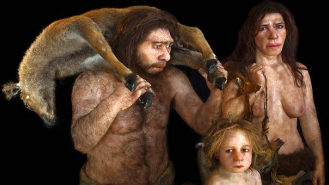 Los neandertales se repartían las tareas por sexo