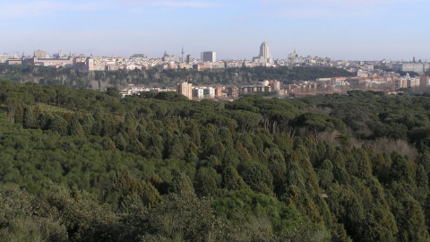 Cerro Garabitas en la actualidad